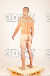 Body texture of Hanus 0029